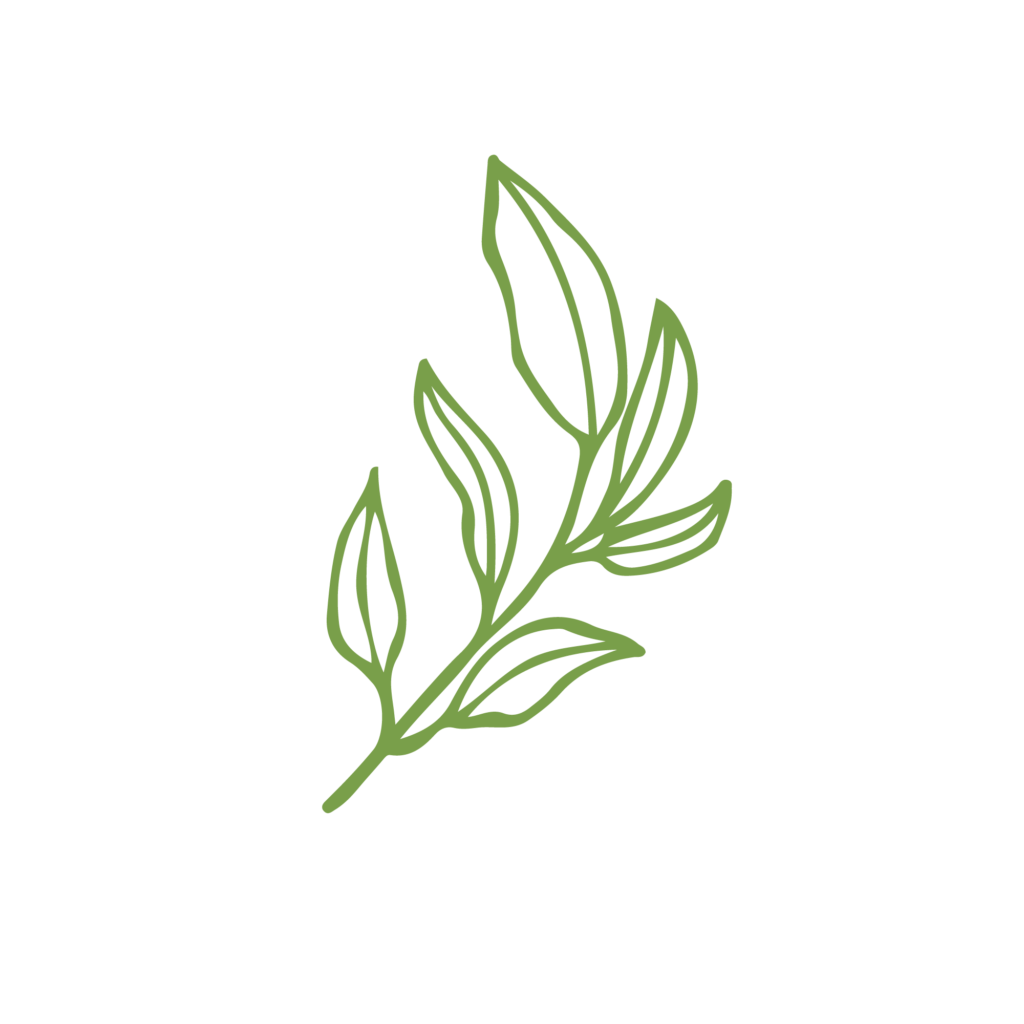 La Rubrica di Paola – Beauty Consultant- Oli vegetali naturali ottimi per la prevenzione dell’invecchiamento cutaneo